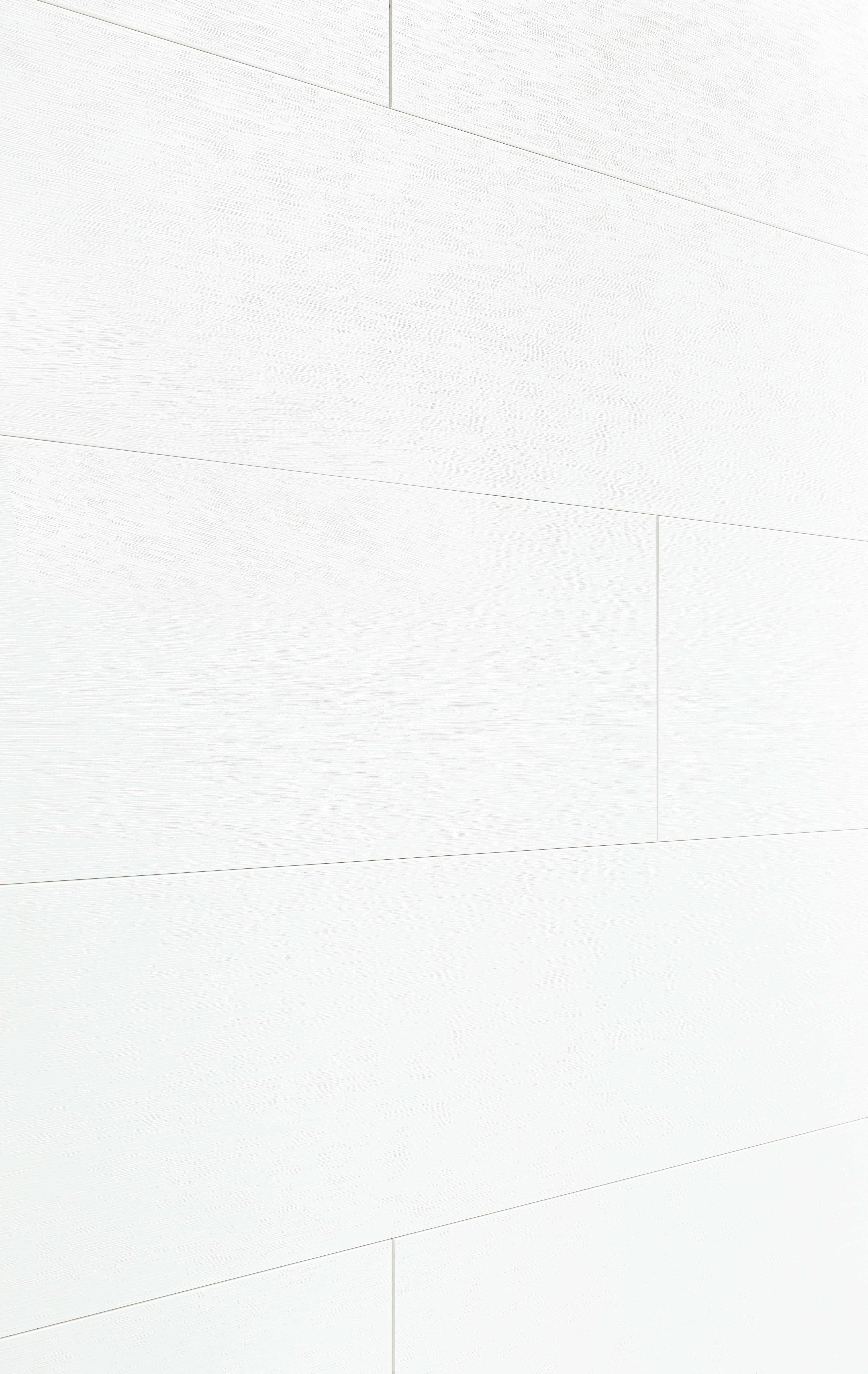 MEISTER Dekorpaneele MeisterPaneele. terra DP 250 / Ridge Oak white 4200