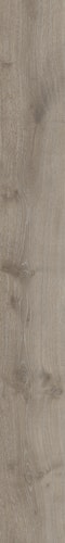 MEISTER Laminatboden MeisterDesign. laminate LL 250 2052 x 248 x 10 mm 07143 Bacheiche Porensynchron-Struktur