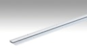 Vorschaubild MEISTER Abschlussprofil Typ 101 Silber eloxiert 220 - 1000 mm