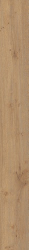 MEISTER Laminatboden MeisterDesign. laminate LL 250 2052 x 248 x 10 mm 06385 Eiche Dakar Porensynchron-Struktur