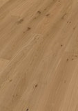 HANDMUSTER MEISTER Parkettboden MeisterParkett. longlife PD 400 9029 Eiche authentic greige gebürstet naturgeölt HANDMUSTER MEISTER Parkettboden MeisterParkett. longlife PD 400 9029 Eiche authentic greige gebürstet naturgeöltZubehörbild