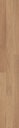 Vorschaubild MeisterWerke Laminat CLASSIC LC 55 / LC 55 S Eiche natur 6067