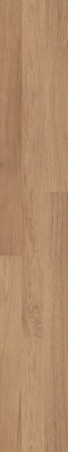 MeisterWerke Laminat CLASSIC LC 55 / LC 55 S Eiche natur 6067