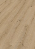 Handmuster Meister Laminatboden MeisterDesign. laminate LC 150 1288 x 198 x 8 mm 07141 Turmeiche hell Porensynchron-Struktur Handmuster Meister Laminatboden MeisterDesign. laminate LC 150 1288 x 198 x 8 mm 07141 Turmeiche hell Porensynchron-StrukturZubehörbild