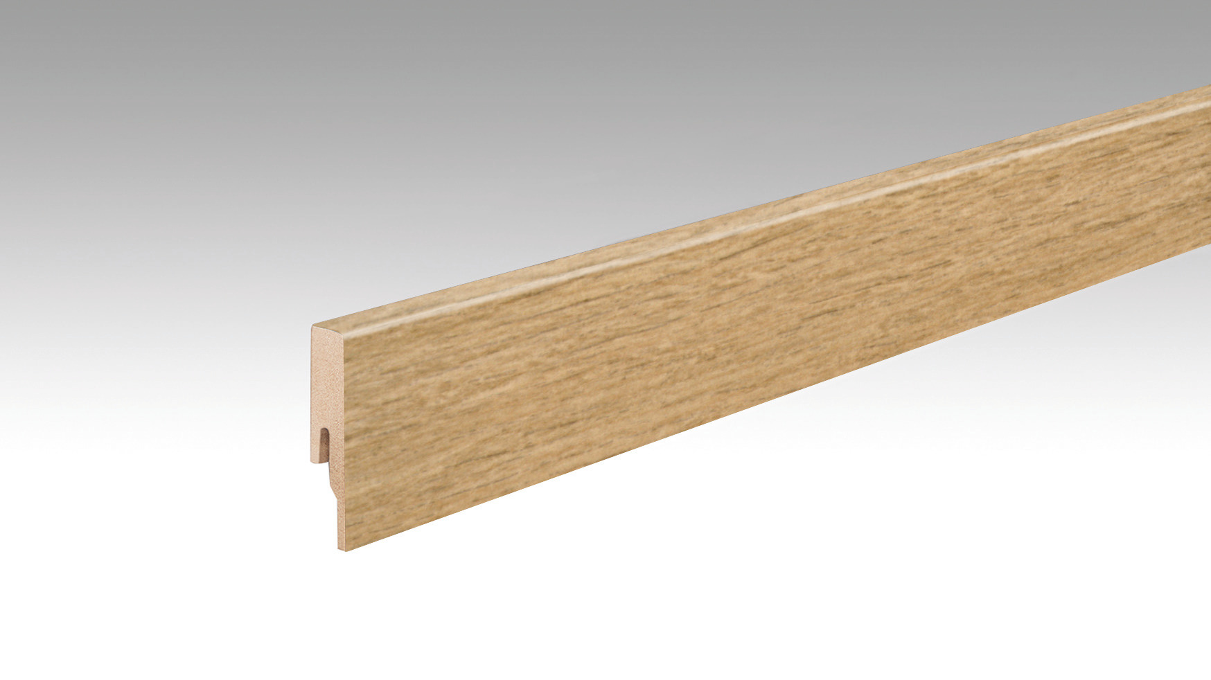 MEISTER Fußleiste Profil 20 PK Industrial Pop 20192 - 2380 mm