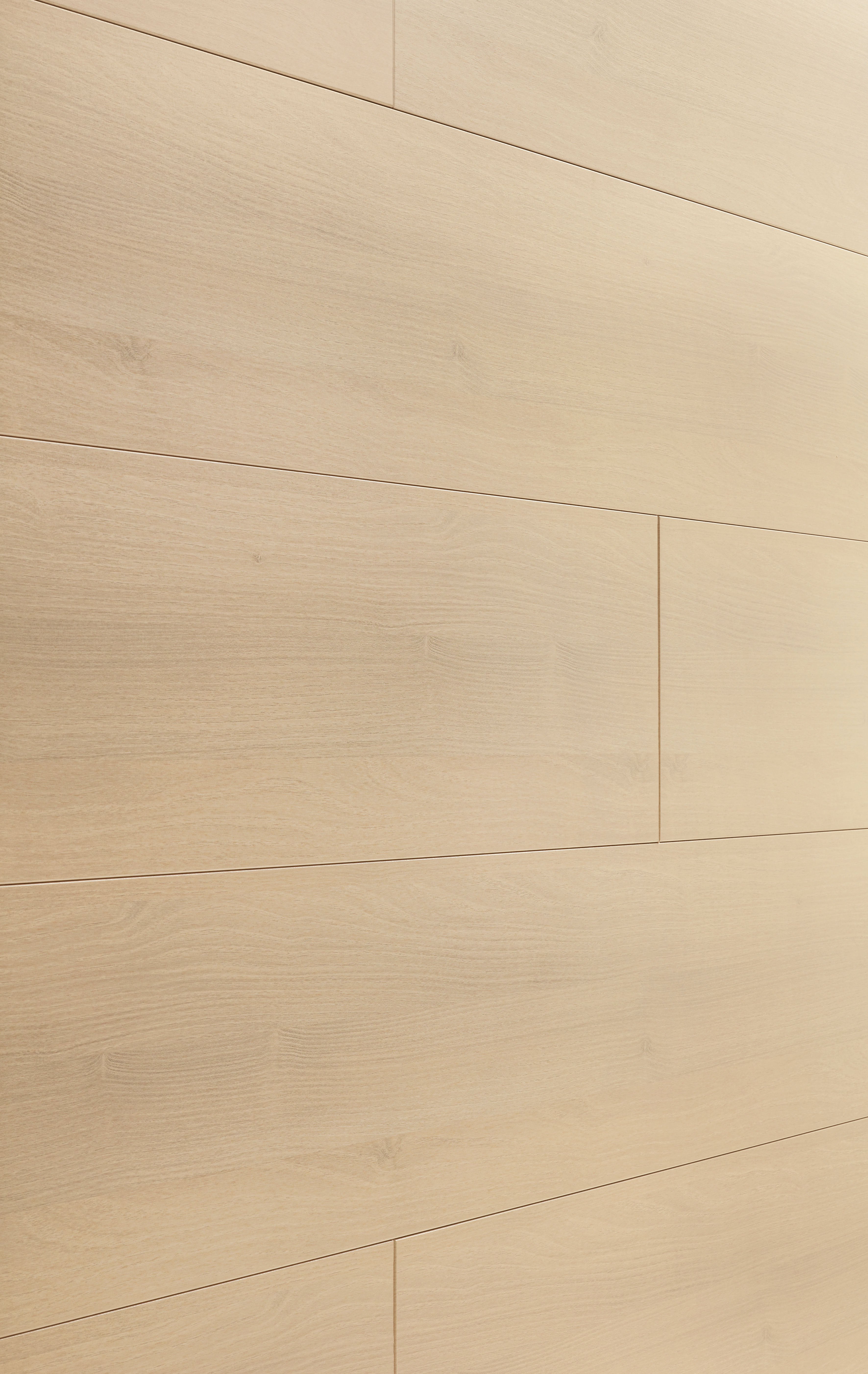 MEISTER Dekorpaneele MeisterPaneele. terra DP 200 / Akazie hell 4012