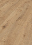 Handmuster Meister Laminatboden MeisterDesign. laminate LL 250 2052 x 248 x 10 mm 06385 Eiche Dakar Porensynchron-Struktur Handmuster Meister Laminatboden MeisterDesign. laminate LL 250 2052 x 248 x 10 mm 06385 Eiche Dakar Porensynchron-StrukturZubehörbild
