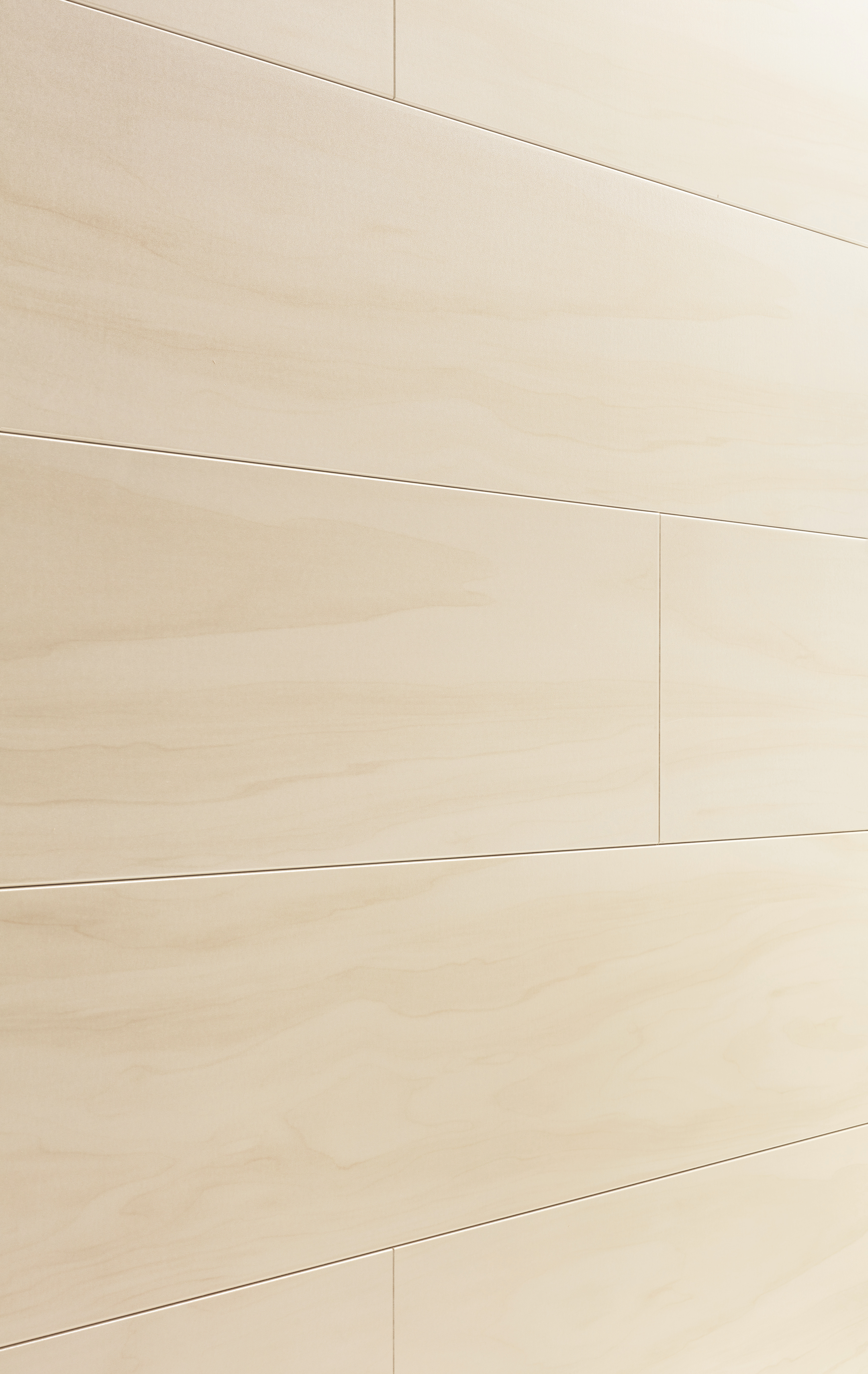 HANDMUSTER MeisterWerke Dekorpaneele MeisterPaneele. tertio DP 250 Lightwood 4096