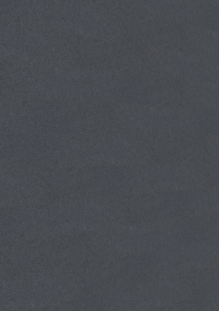 MEISTER Systempaneele MeisterPaneele. craft SP 700 1275 x 210 x 10,5 mm 04504 Filz schiefergrau