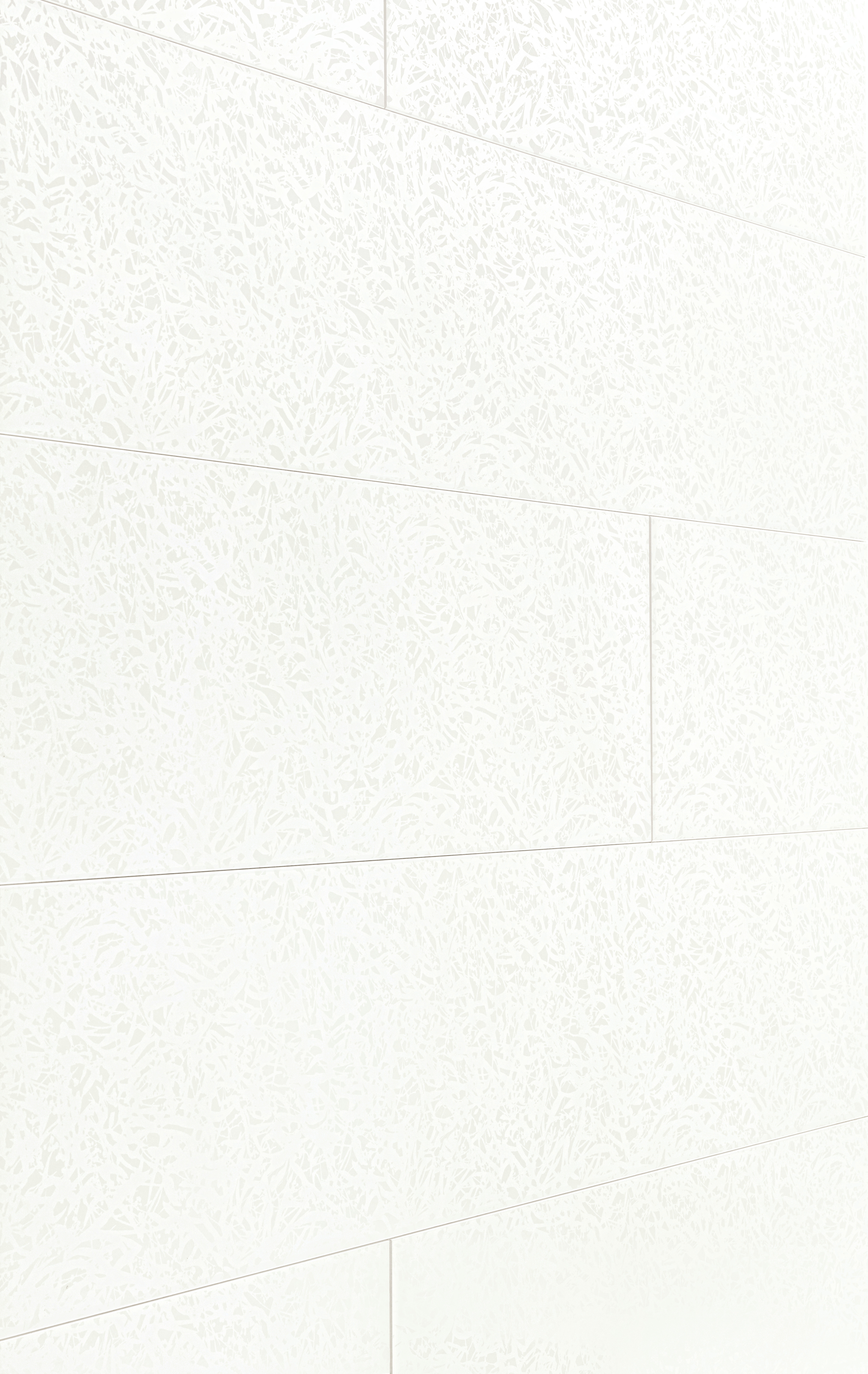 MEISTER Dekorpaneele MeisterPaneele. terra DP 200 / Duo Gloss White 4089