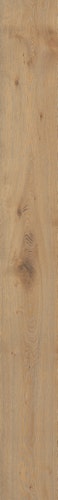 MEISTER Laminatboden MeisterDesign. laminate LL 250 2052 x 248 x 10 mm 06385 Eiche Dakar Porensynchron-Struktur