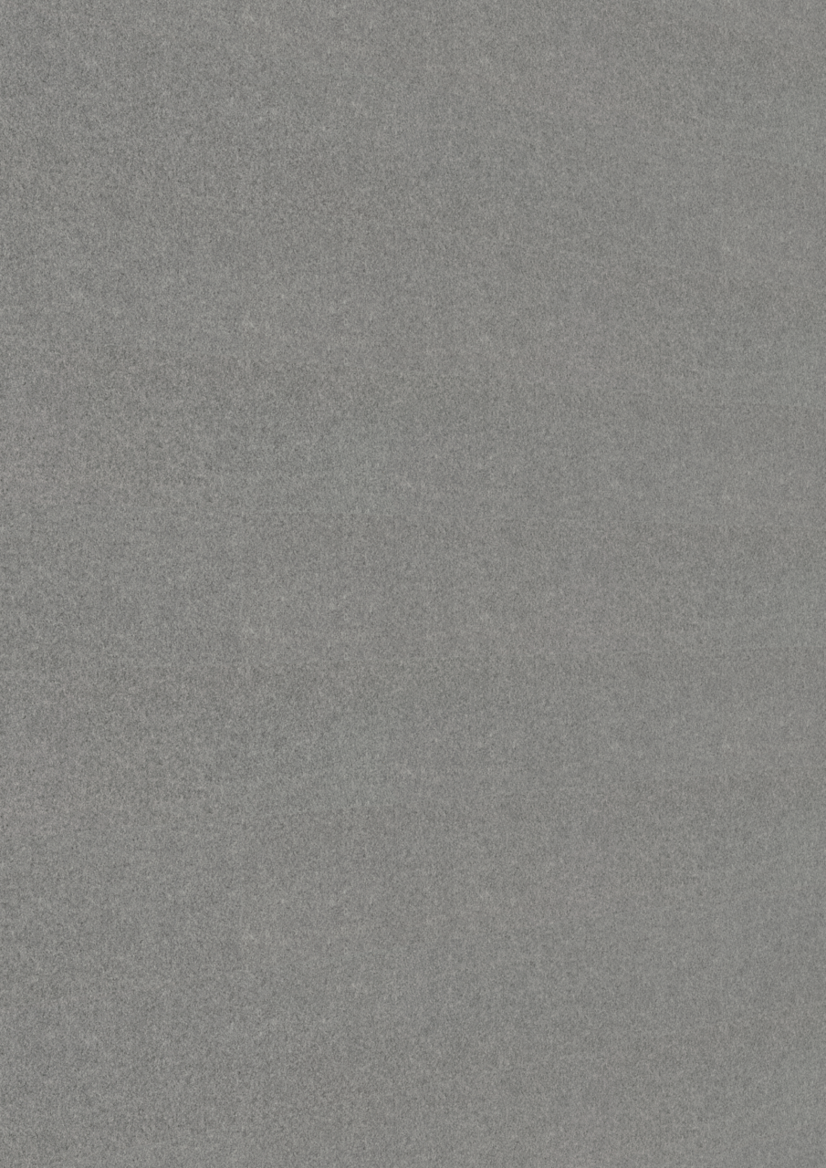 MEISTER Dekorpaneele MeisterPaneele. bocado DP 250 20105 Vlies grau alle Längen