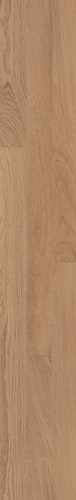 MeisterWerke Laminat CLASSIC LC 55 / LC 55 S Eiche natur 6067