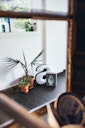 Vorschaubild MEISTER Designboden MeisterDesign. comfort DB 600 S  Black Lava 7323 - 853 mm