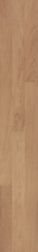 MeisterWerke Laminat CLASSIC LC 55 / LC 55 S Eiche natur 6067