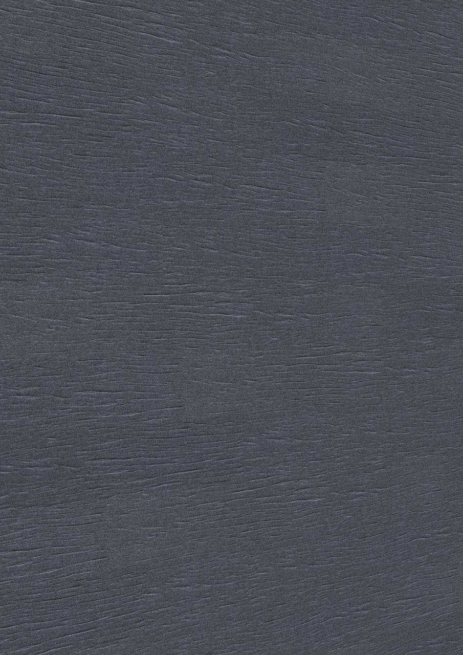 MEISTER Systempaneele MeisterPaneele. craft SP 700 1275 x 210 x 10,5 mm 20138 Filz schiefergrau geprägt