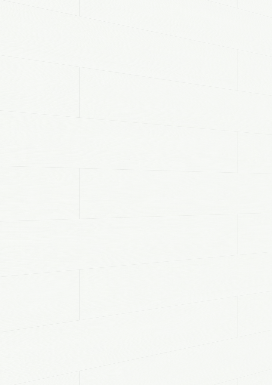 MEISTER Dekorpaneele MeisterPaneele. bocado DP 250 20103 Softwood weiß alle Längen