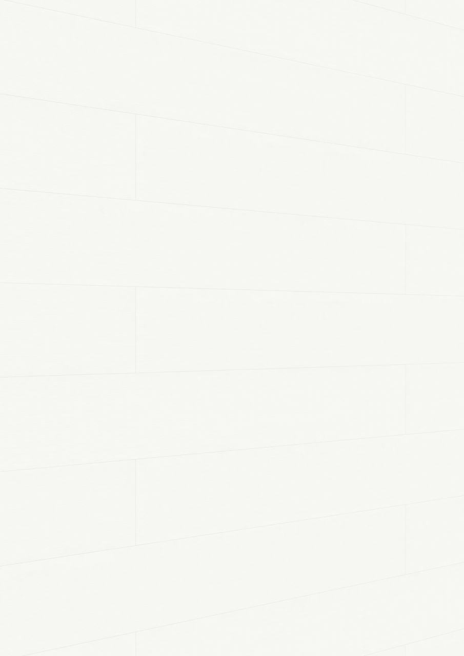 MEISTER Dekorpaneele MeisterPaneele. terra DP 250 20095 Warm fineline alle Längen