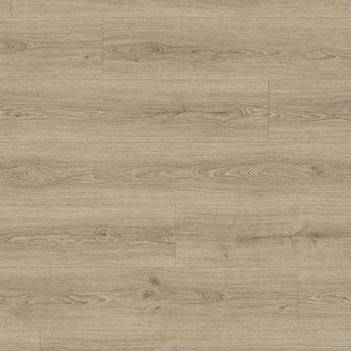 HANDMUSTER MeisterWerke MeisterDesign.flex DD 400 Stieleiche natur 6983-Holznachbildung