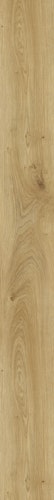 MEISTER Laminatboden MeisterDesign. laminate LL 150 S 2052 x 220 x 10 mm 07117 Ufereiche natur Porensynchron-Struktur