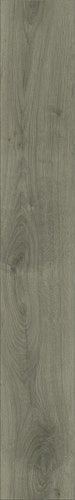 MEISTER Laminatboden MeisterDesign. laminate LD 150 1288 x 198 x 8 mm 07005 Eiche cremegrau Porensynchron-Struktur