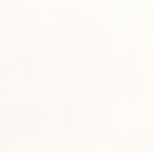 HANDMUSTER MeisterWerke Systempaneele NOVA SP 300 Weiß 4038-Nachbildung