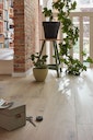 Vorschaubild MEISTER Designboden MeisterDesign. comfort DL 600 S  Schlosseiche pure 6840 - 2052 mm