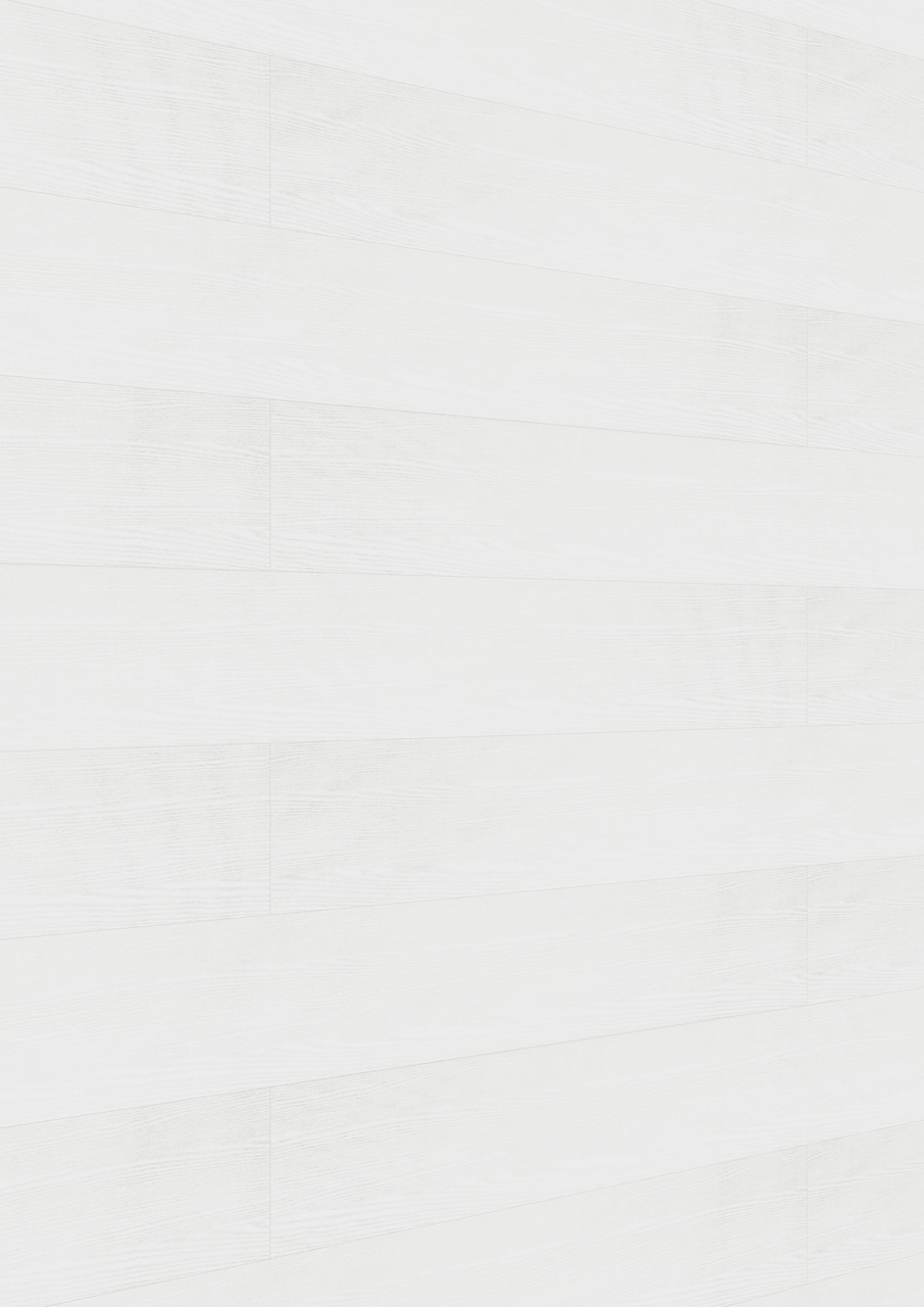 MEISTER Dekorpaneele MeisterPaneele. terra DP 250 20098 White ash alle Längen