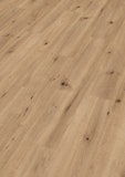 HANDMUSTER MEISTER Designboden MeisterDesign. comfort DD 600 S Feldeiche hell 6843 HANDMUSTER MEISTER Designboden MeisterDesign. comfort DD 600 S Feldeiche hell 6843Zubehörbild