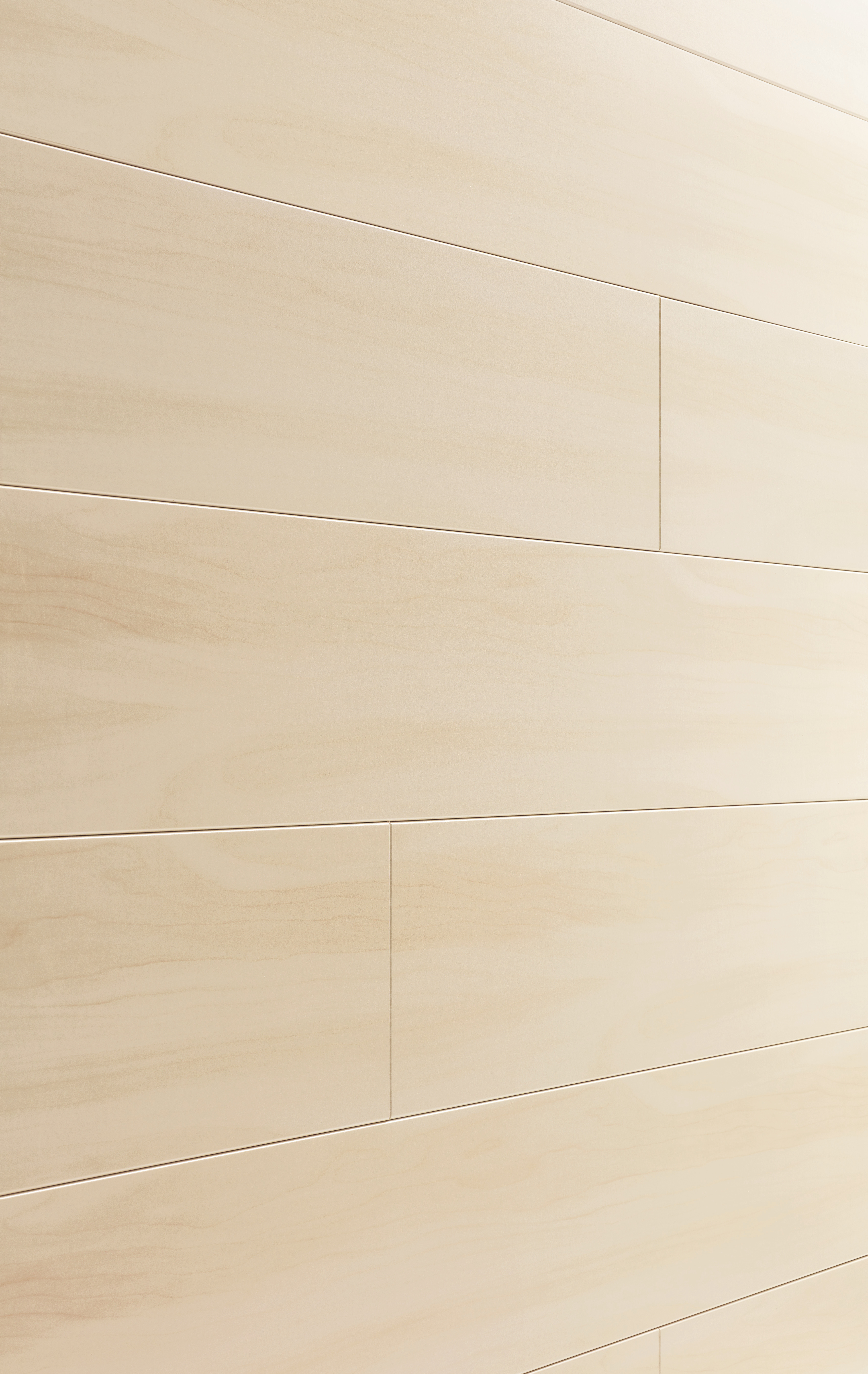 HANDMUSTER MeisterWerke Dekorpaneele MeisterPaneele. tertio DP 200 Lightwood 4096