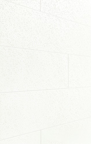 MEISTER Dekorpaneele MeisterPaneele. terra DP 250 / Duo Gloss White 4089