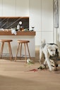 Vorschaubild MEISTER Lindura-Holzboden HD 400 (EasyStep SF - B-Ware) | ultramattlackiert 2200 mm x 270 mm Eiche natur champagner gebürstet 8922 - 2200 mm - 2. Wahl