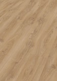 MEISTER Designboden MeisterDesign. next DL 500 S 2052 x 220 x 8 mm 6841 Schlosseiche hell Porensynchron-Struktur MEISTER Designboden MeisterDesign. next DL 500 S 2052 x 220 x 8 mm 6841 Schlosseiche hell Porensynchron-StrukturZubehörbild