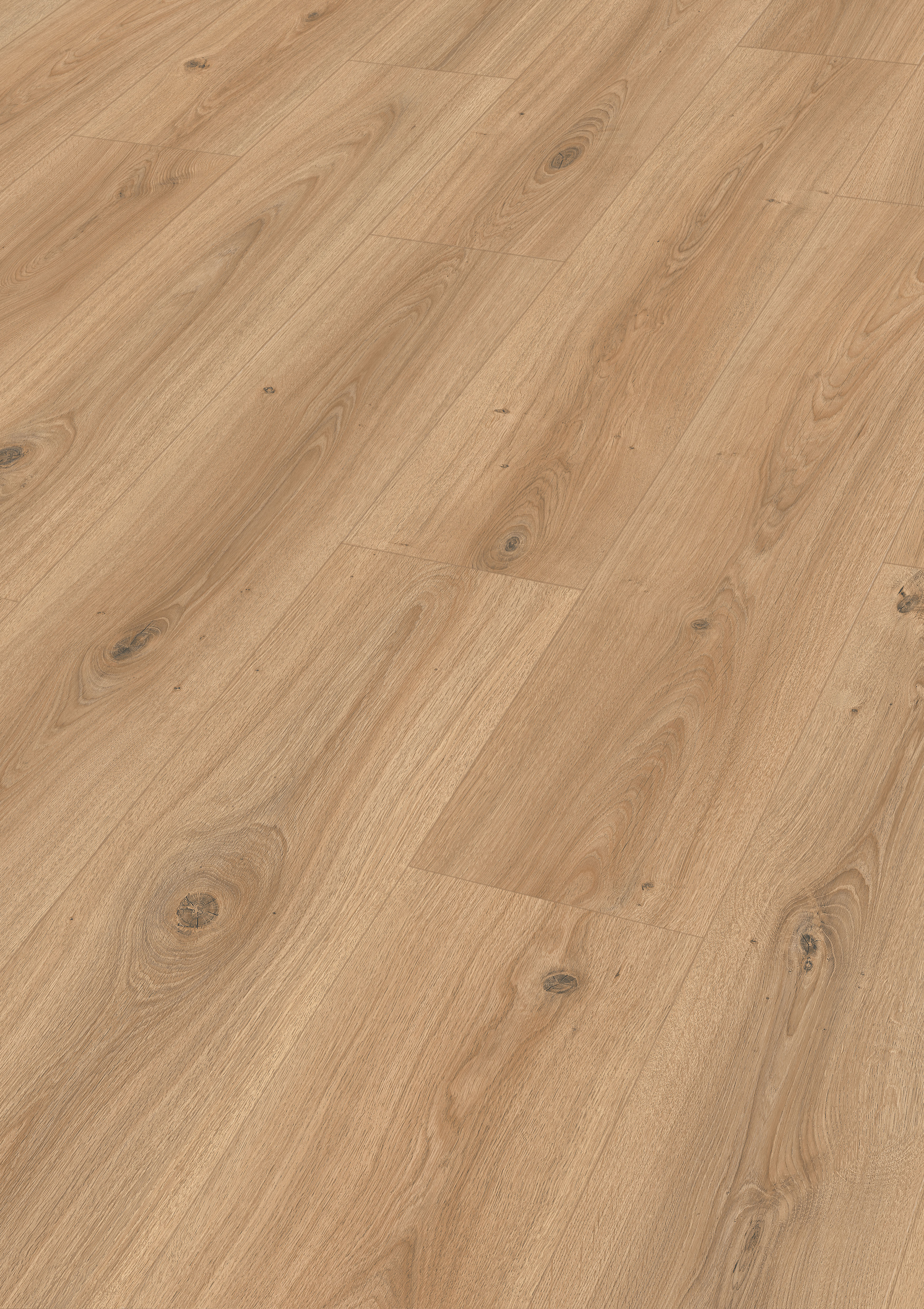 MEISTER Laminatboden MeisterDesign. laminate LD 200 1288 x 244 x 8 mm 07152 Brunneneiche pure Porensynchron-Struktur